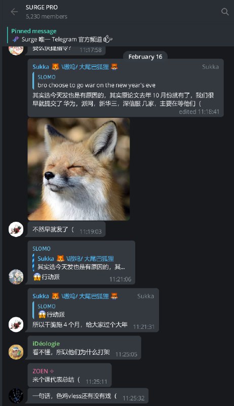 窝里斗 第二阶段