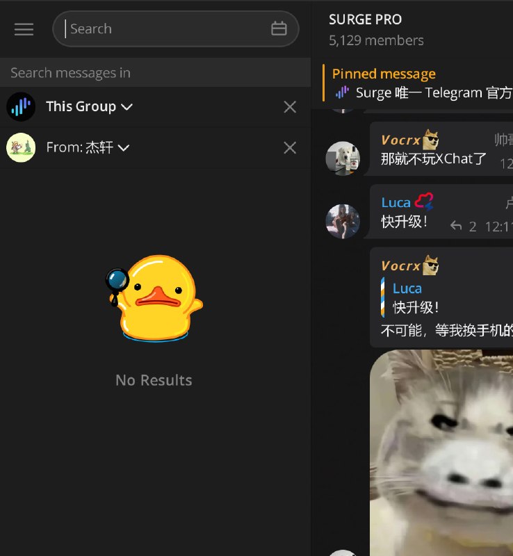 截至目前，该用户还没退出 Surge Pro 群，可能下一步就要给 Surge 整风了？ 😁#app #clashbox #吃瓜 #harmonyos